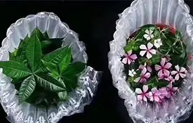 Air column bag packaging